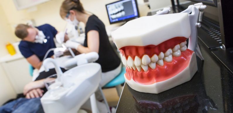 Know what to look for in a dental service before hiring