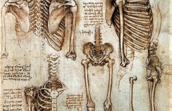 How To Support Your Child While They Attend An Art School For Kids